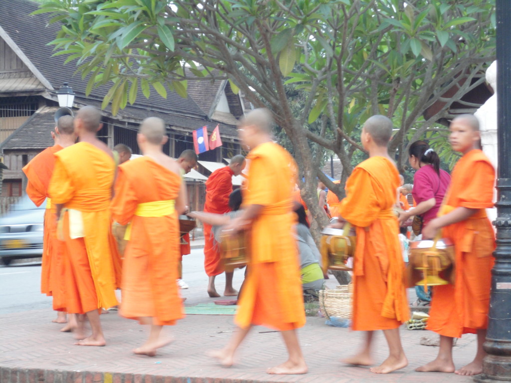 DSC00564