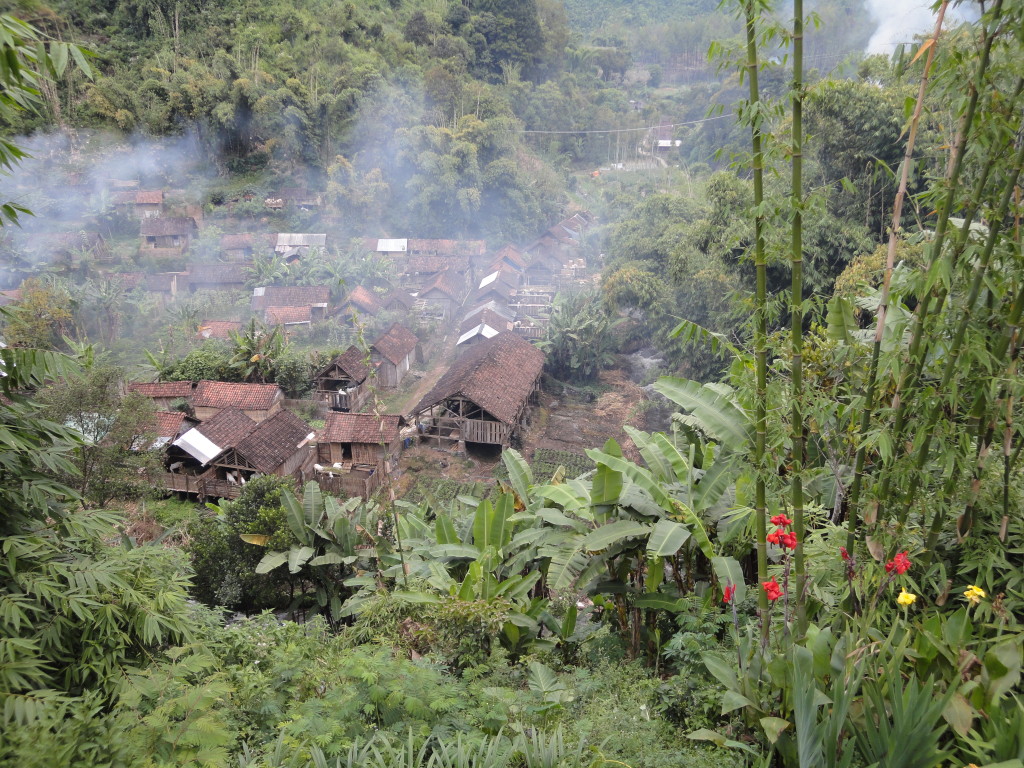 DSC00981