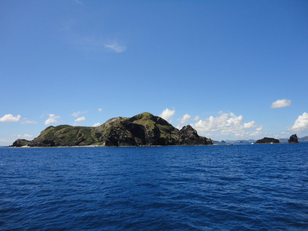 DSC03258