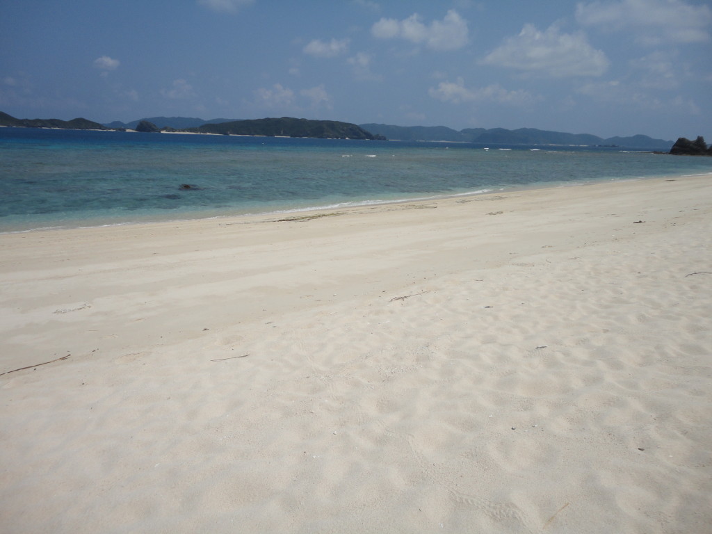 DSC03355